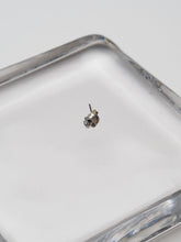 Cargar imagen en el visor de la galería, Arito Dante