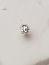 Cargar imagen en el visor de la galería, Arito Dante