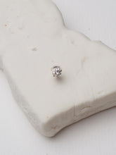 Cargar imagen en el visor de la galería, Arito Dante