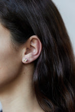 Cargar imagen en el visor de la galería, Aritos Dana