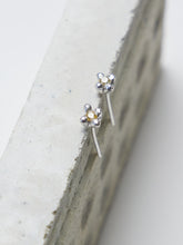 Cargar imagen en el visor de la galería, Aritos Dana